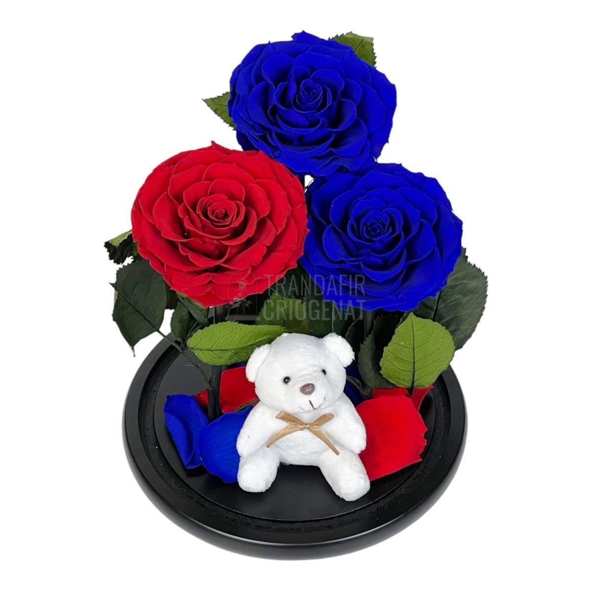 3 Trandafiri Criogenati mari, 2 albastrii, 1 rosu, cupola ursulet - Trandafir-Criogenat.ro