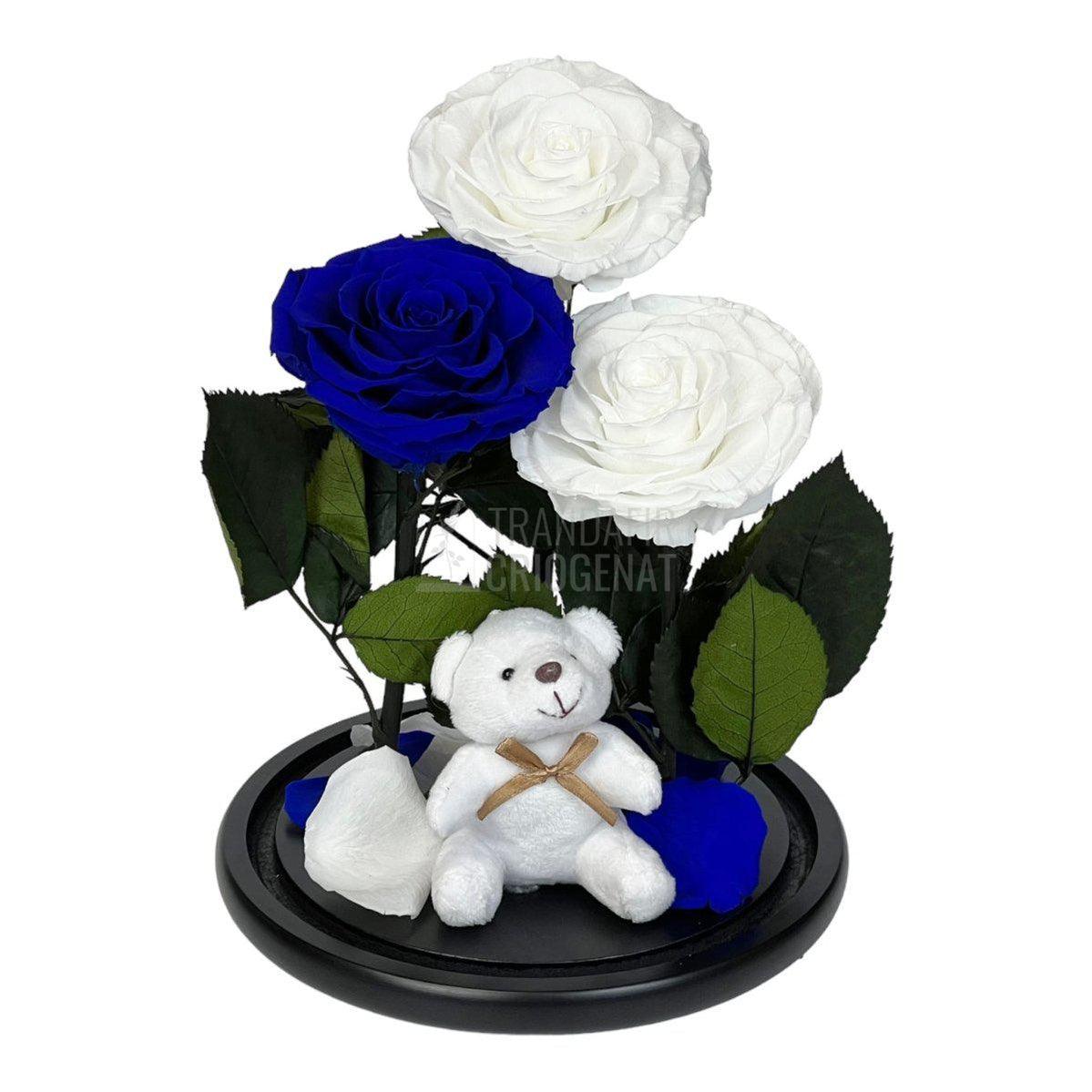3 Trandafiri Criogenati mari, 2 albi, 1 albastru, cupola ursulet - Trandafir-Criogenat.ro