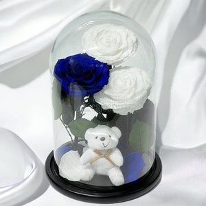 3 Trandafiri Criogenati mari, 2 albi, 1 albastru, cupola ursulet - Trandafir-Criogenat.ro