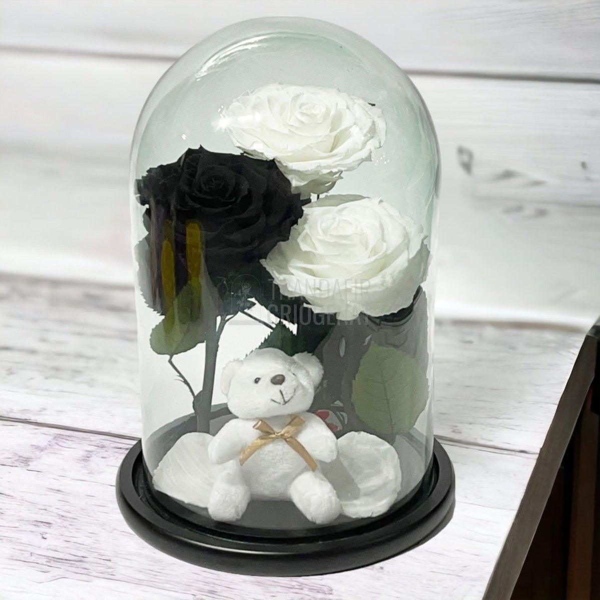 3 Trandafiri Criogenati mari, 2 albi, 1 negru, cupola cu ursulet - Trandafir-Criogenat.ro