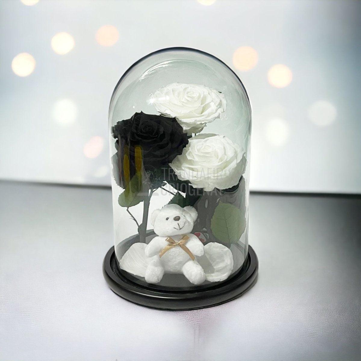 3 Trandafiri Criogenati mari, 2 albi, 1 negru, cupola cu ursulet - Trandafir-Criogenat.ro