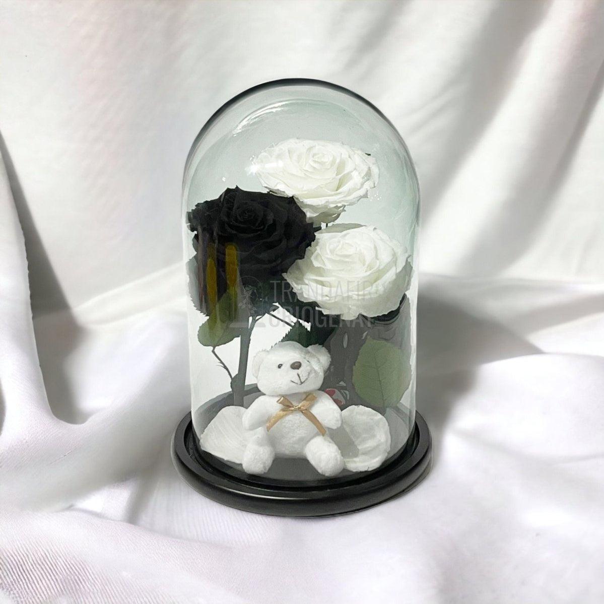 3 Trandafiri Criogenati mari, 2 albi, 1 negru, cupola cu ursulet - Trandafir-Criogenat.ro