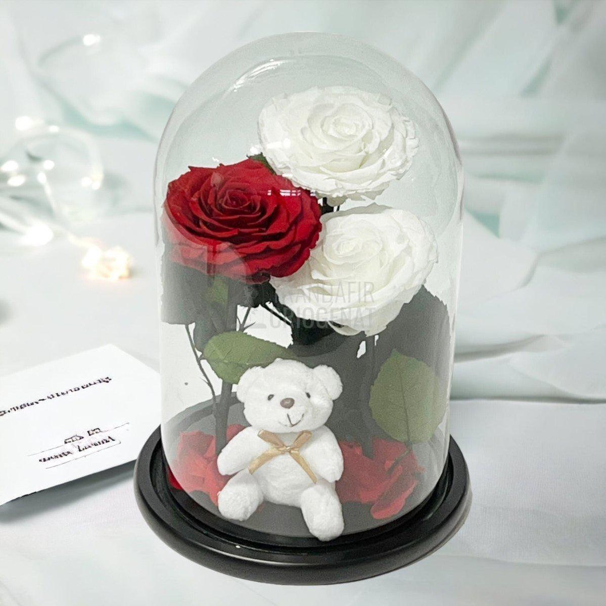 3 Trandafiri Criogenati mari, 2 albi, 1 rosu, cupola ursulet - Trandafir-Criogenat.ro