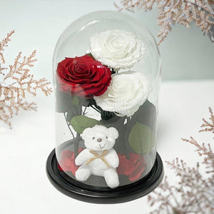 3 Trandafiri Criogenati mari, 2 albi, 1 rosu, cupola ursulet - Trandafir-Criogenat.ro