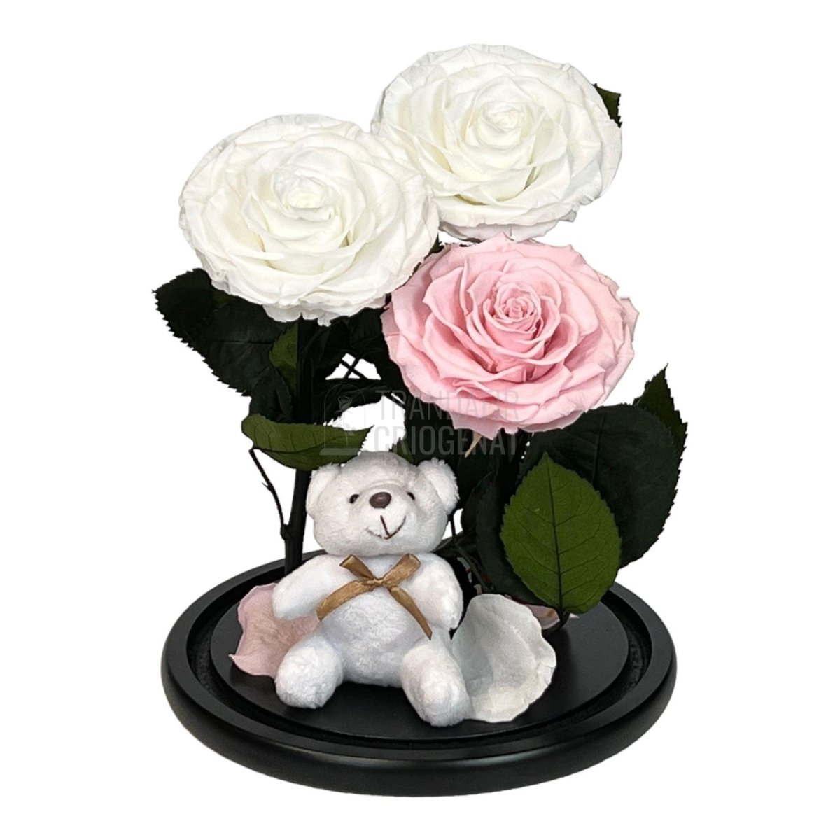 3 Trandafiri Criogenati mari, 2 albi, 1 roz, cupola cu ursulet - Trandafir-Criogenat.ro