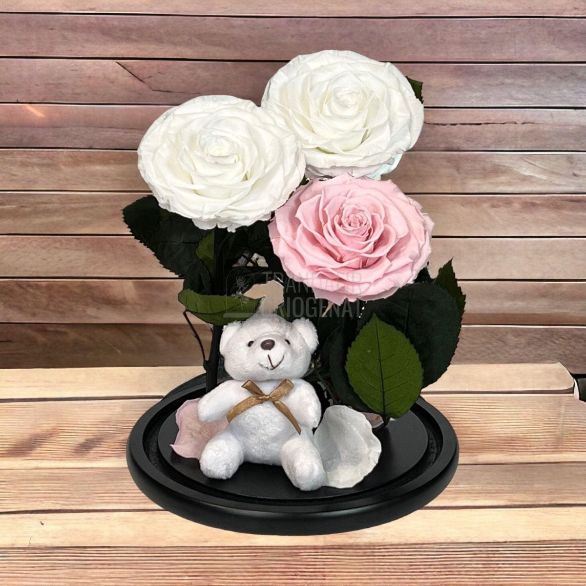 3 Trandafiri Criogenati mari, 2 albi, 1 roz, cupola cu ursulet - Trandafir-Criogenat.ro