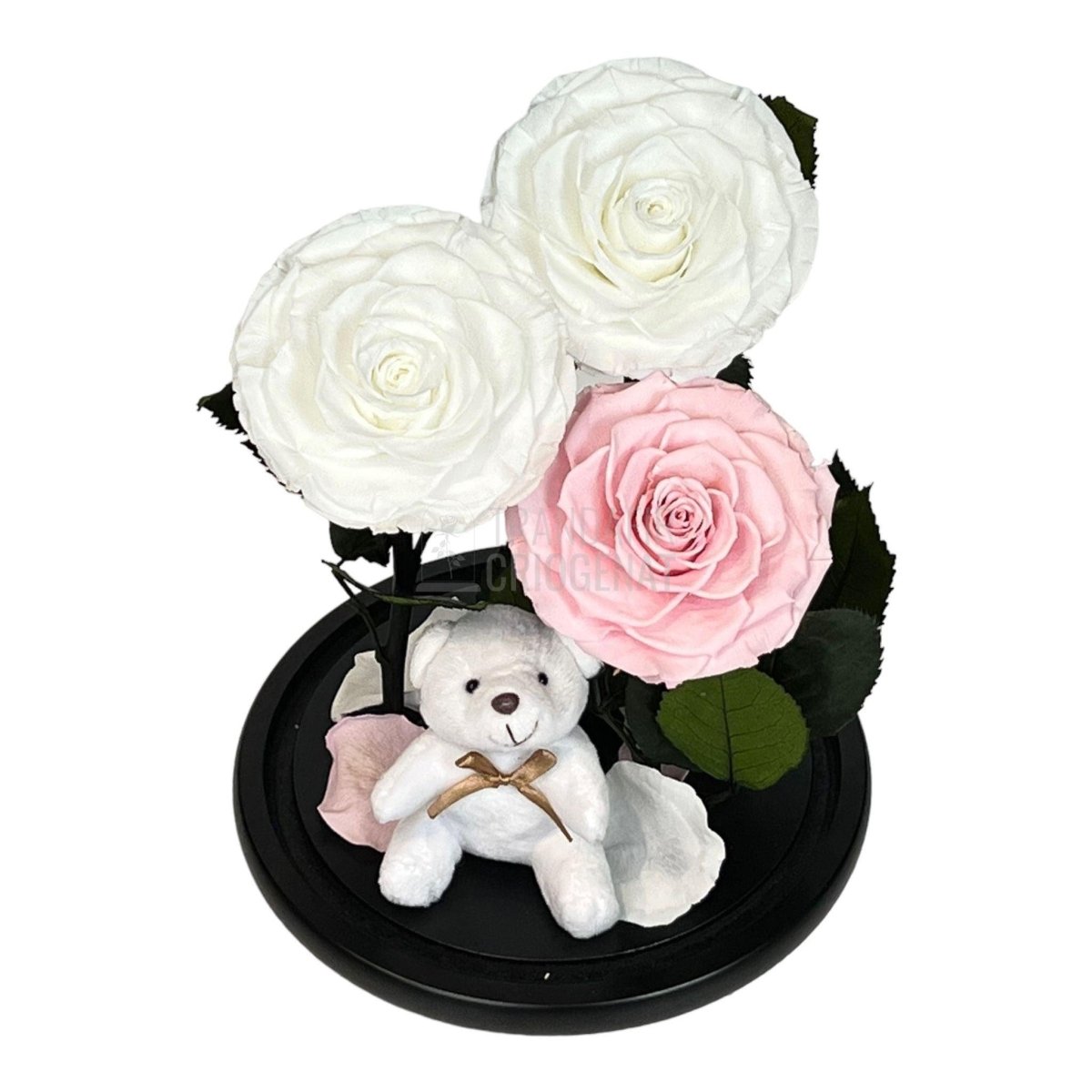 3 Trandafiri Criogenati mari, 2 albi, 1 roz, cupola cu ursulet - Trandafir-Criogenat.ro