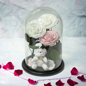 3 Trandafiri Criogenati mari, 2 albi, 1 roz, cupola cu ursulet - Trandafir-Criogenat.ro