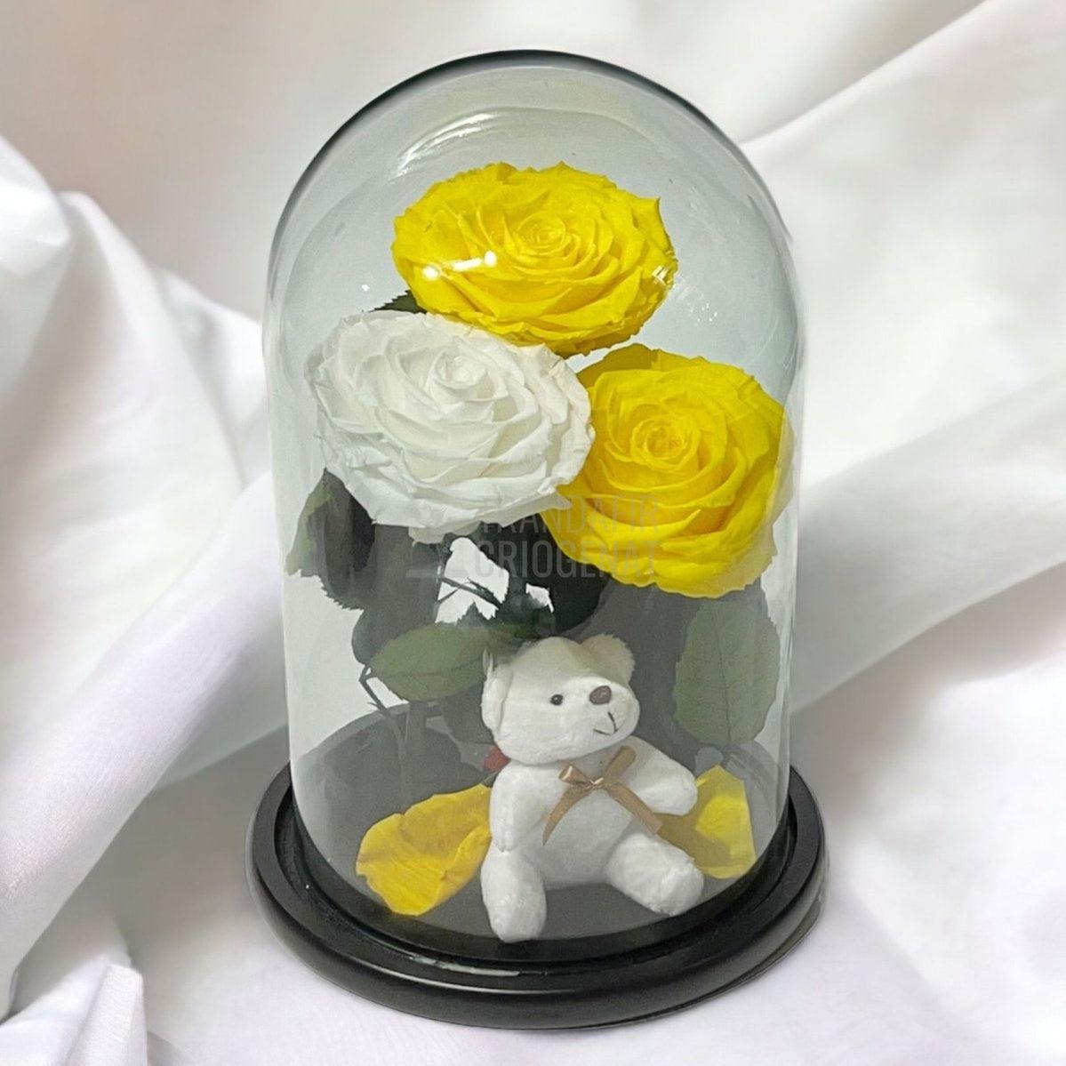 3 Trandafiri Criogenati mari, 2 galbeni, 1 alb, cupola ursulet - Trandafir-Criogenat.ro