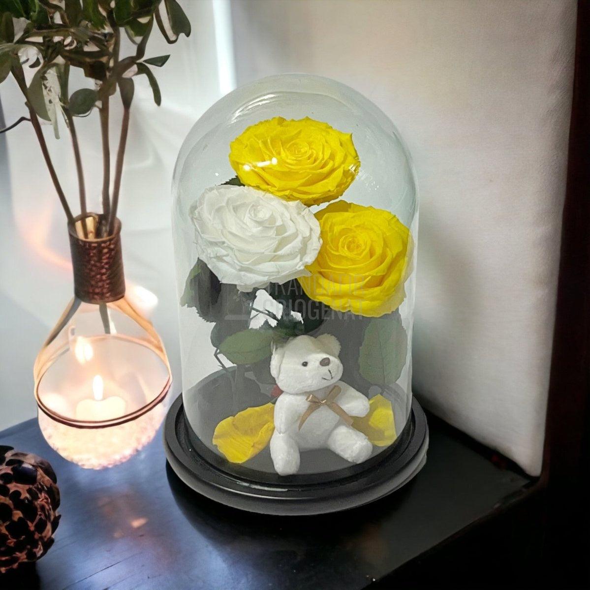 3 Trandafiri Criogenati mari, 2 galbeni, 1 alb, cupola ursulet - Trandafir-Criogenat.ro