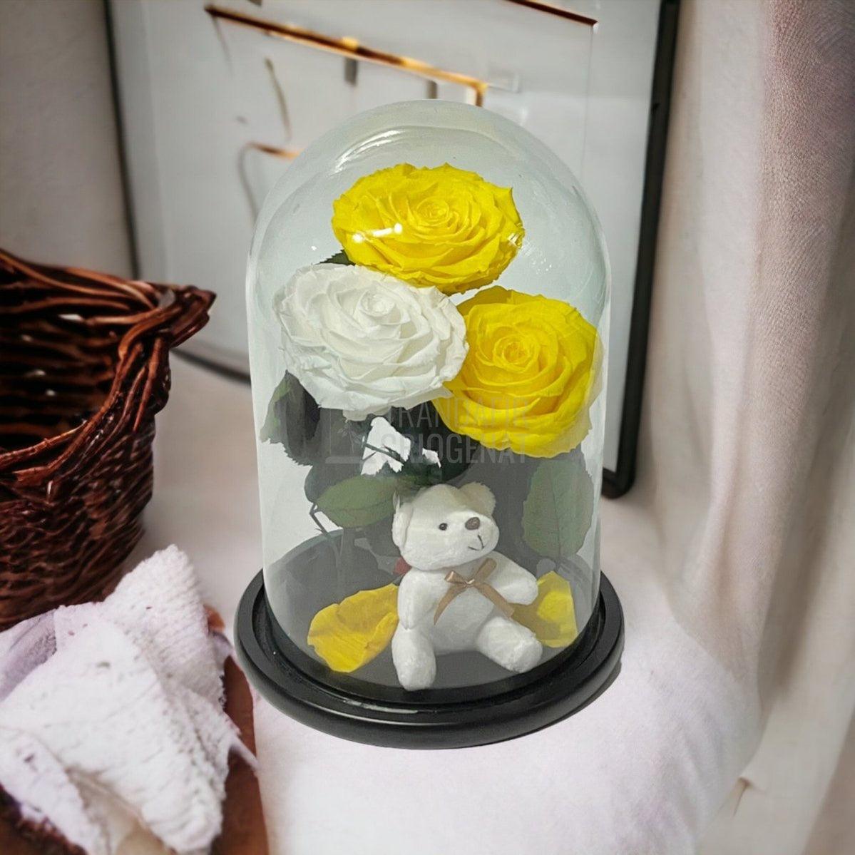 3 Trandafiri Criogenati mari, 2 galbeni, 1 alb, cupola ursulet - Trandafir-Criogenat.ro