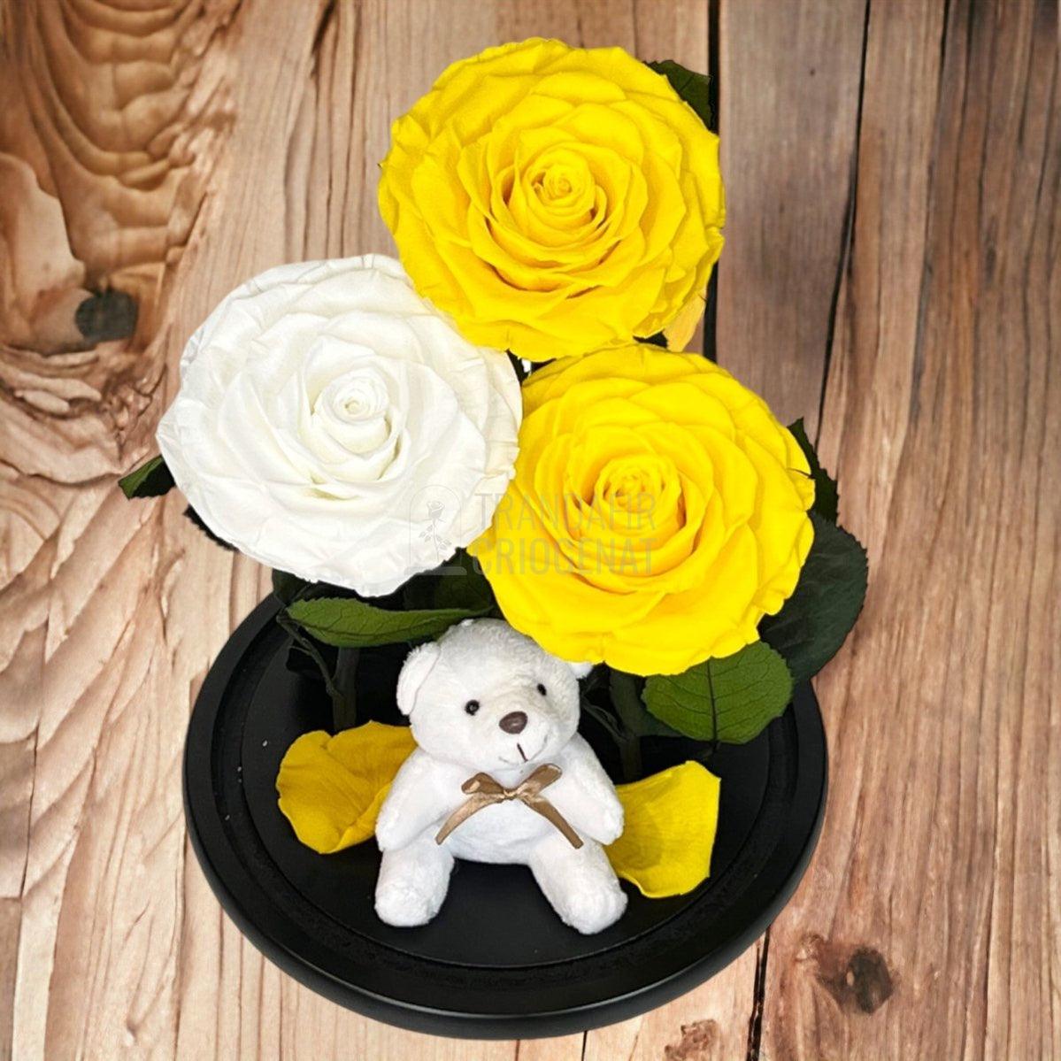 3 Trandafiri Criogenati mari, 2 galbeni, 1 alb, cupola ursulet - Trandafir-Criogenat.ro