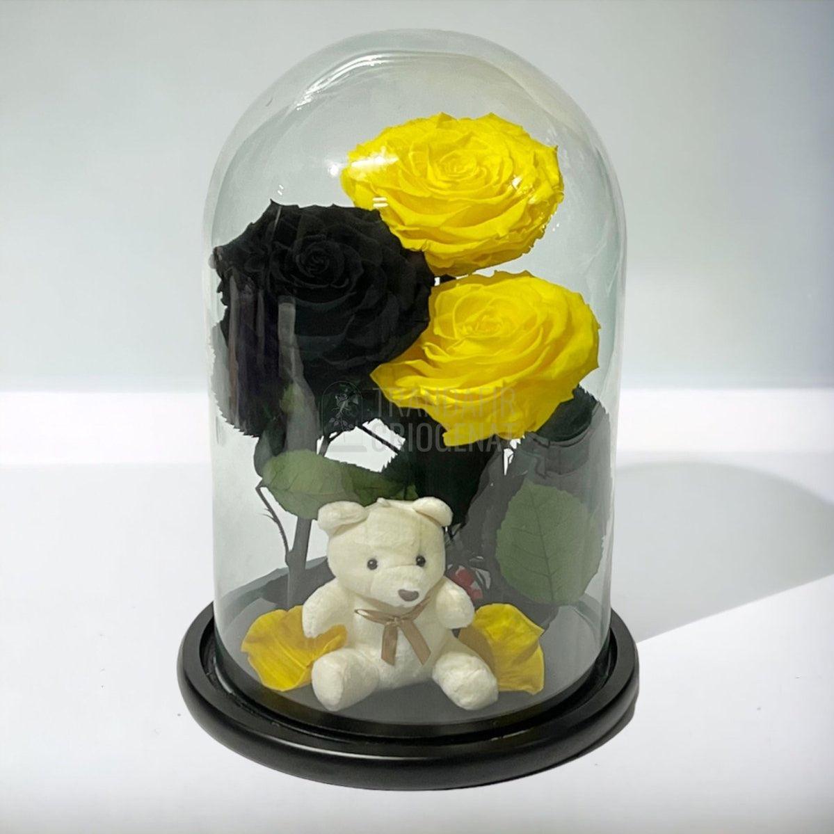 3 Trandafiri Criogenati mari, 2 galbeni, 1 negru, cupola ursulet - Trandafir-Criogenat.ro