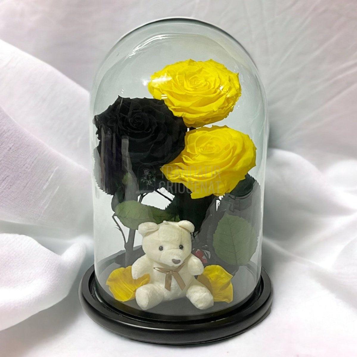 3 Trandafiri Criogenati mari, 2 galbeni, 1 negru, cupola ursulet - Trandafir-Criogenat.ro