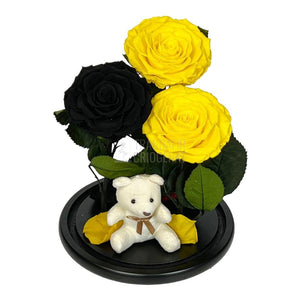 3 Trandafiri Criogenati mari, 2 galbeni, 1 negru, cupola ursulet - Trandafir-Criogenat.ro