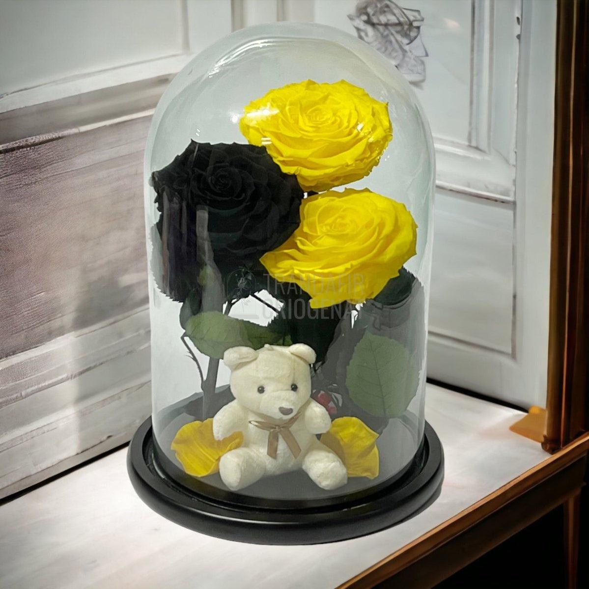 3 Trandafiri Criogenati mari, 2 galbeni, 1 negru, cupola ursulet - Trandafir-Criogenat.ro