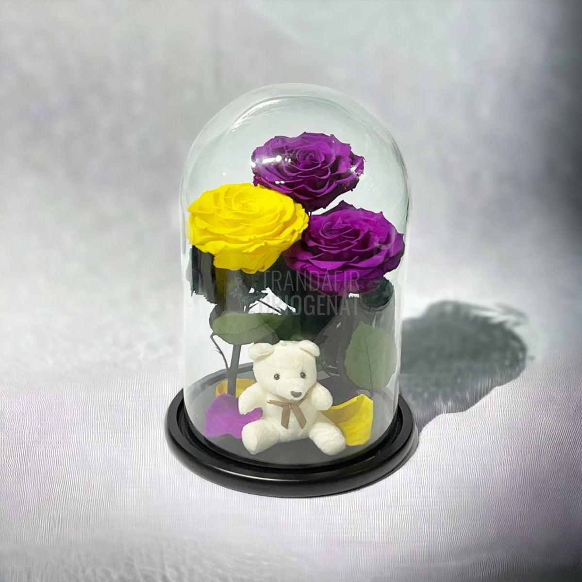 3 Trandafiri Criogenati mari, 2 purpurii, 1 galben, cupola ursulet - Trandafir-Criogenat.ro