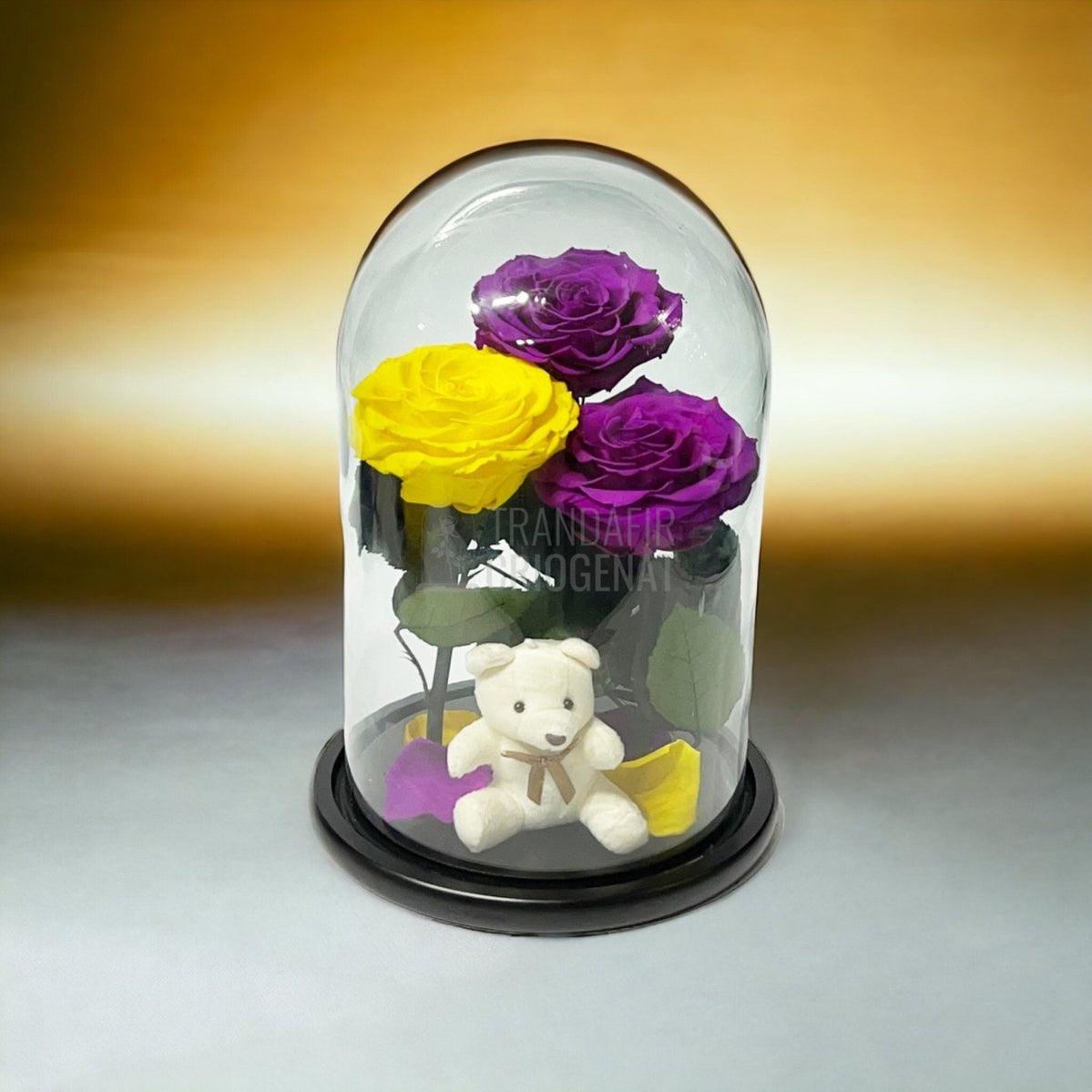 3 Trandafiri Criogenati mari, 2 purpurii, 1 galben, cupola ursulet - Trandafir-Criogenat.ro