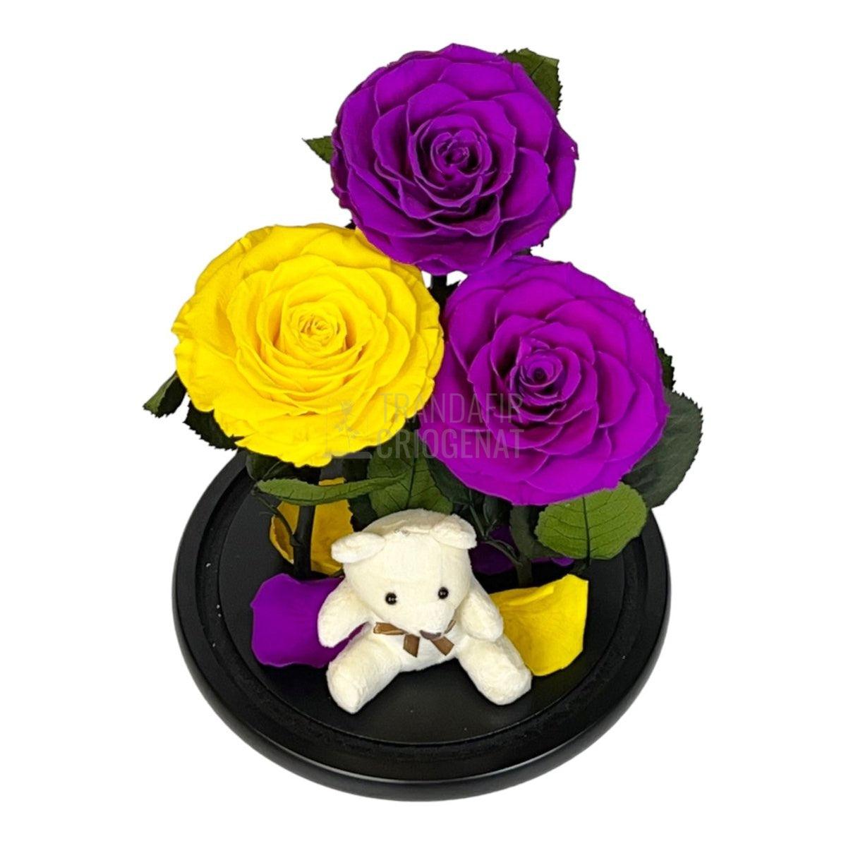 3 Trandafiri Criogenati mari, 2 purpurii, 1 galben, cupola ursulet - Trandafir-Criogenat.ro