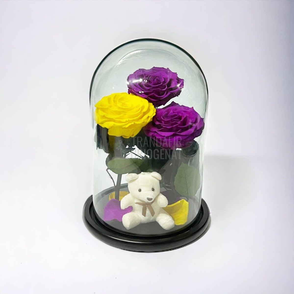 3 Trandafiri Criogenati mari, 2 purpurii, 1 galben, cupola ursulet - Trandafir-Criogenat.ro