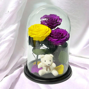 3 Trandafiri Criogenati mari, 2 purpurii, 1 galben, cupola ursulet - Trandafir-Criogenat.ro
