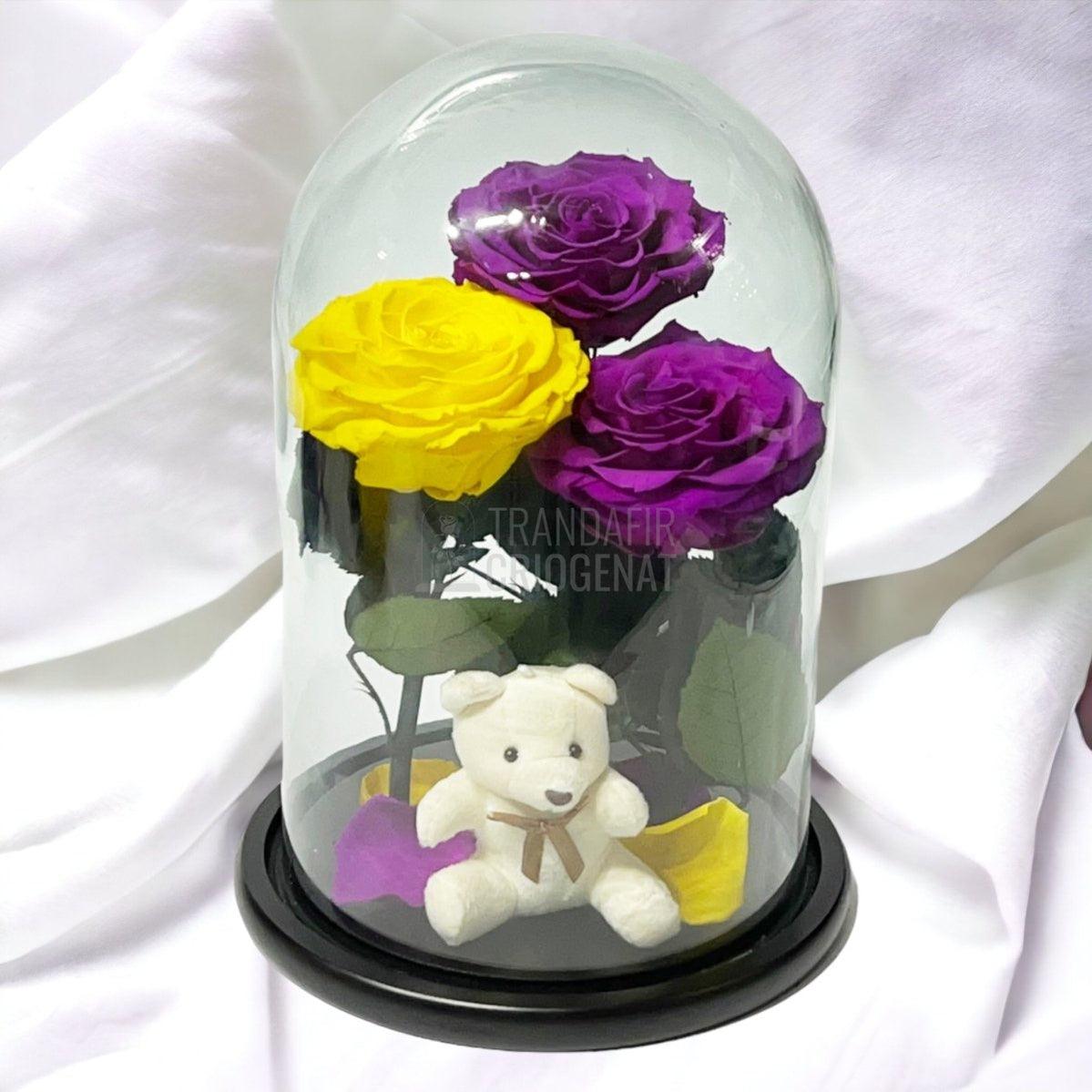 3 Trandafiri Criogenati mari, 2 purpurii, 1 galben, cupola ursulet - Trandafir-Criogenat.ro