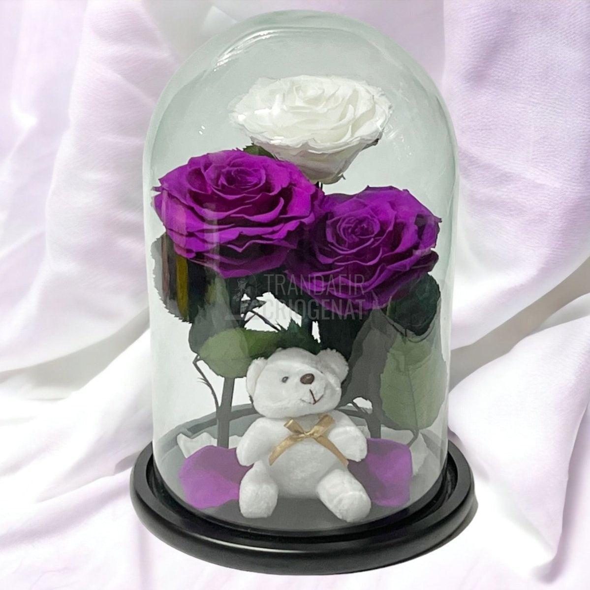 3 Trandafiri Criogenati mari, 2 purpuriu, 1 alb, cupola ursulet - Trandafir-Criogenat.ro