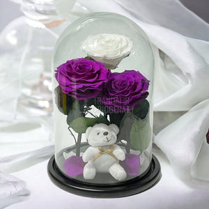 3 Trandafiri Criogenati mari, 2 purpuriu, 1 alb, cupola ursulet - Trandafir-Criogenat.ro
