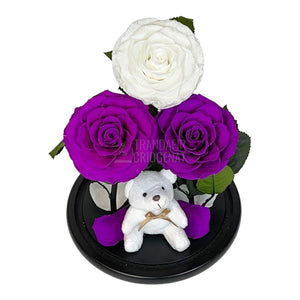 3 Trandafiri Criogenati mari, 2 purpuriu, 1 alb, cupola ursulet - Trandafir-Criogenat.ro