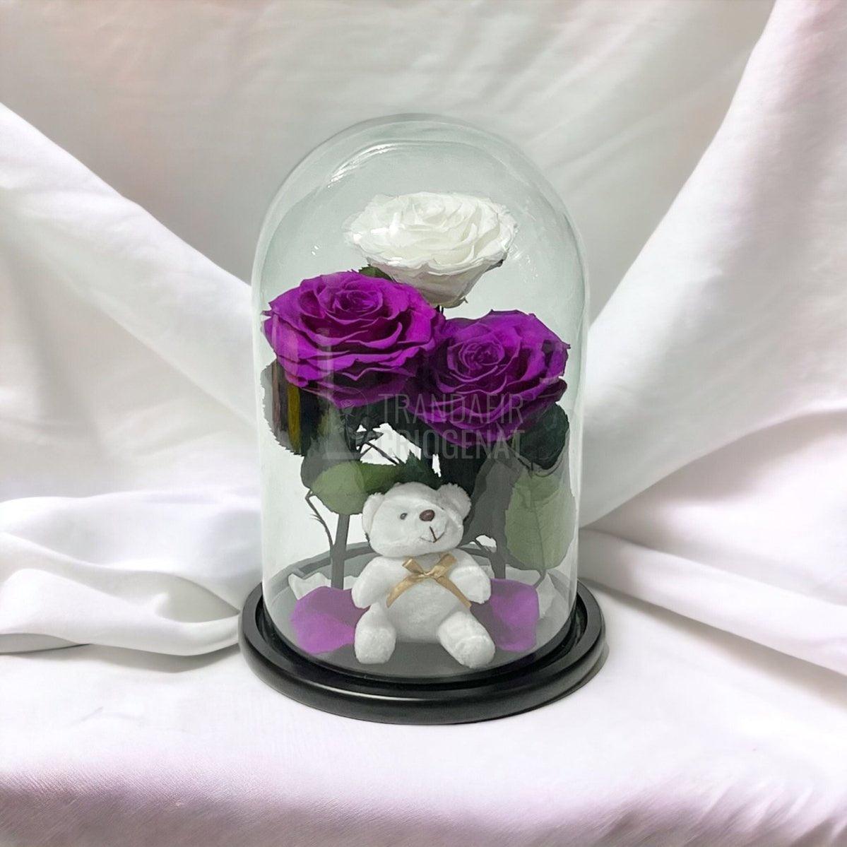 3 Trandafiri Criogenati mari, 2 purpuriu, 1 alb, cupola ursulet - Trandafir-Criogenat.ro