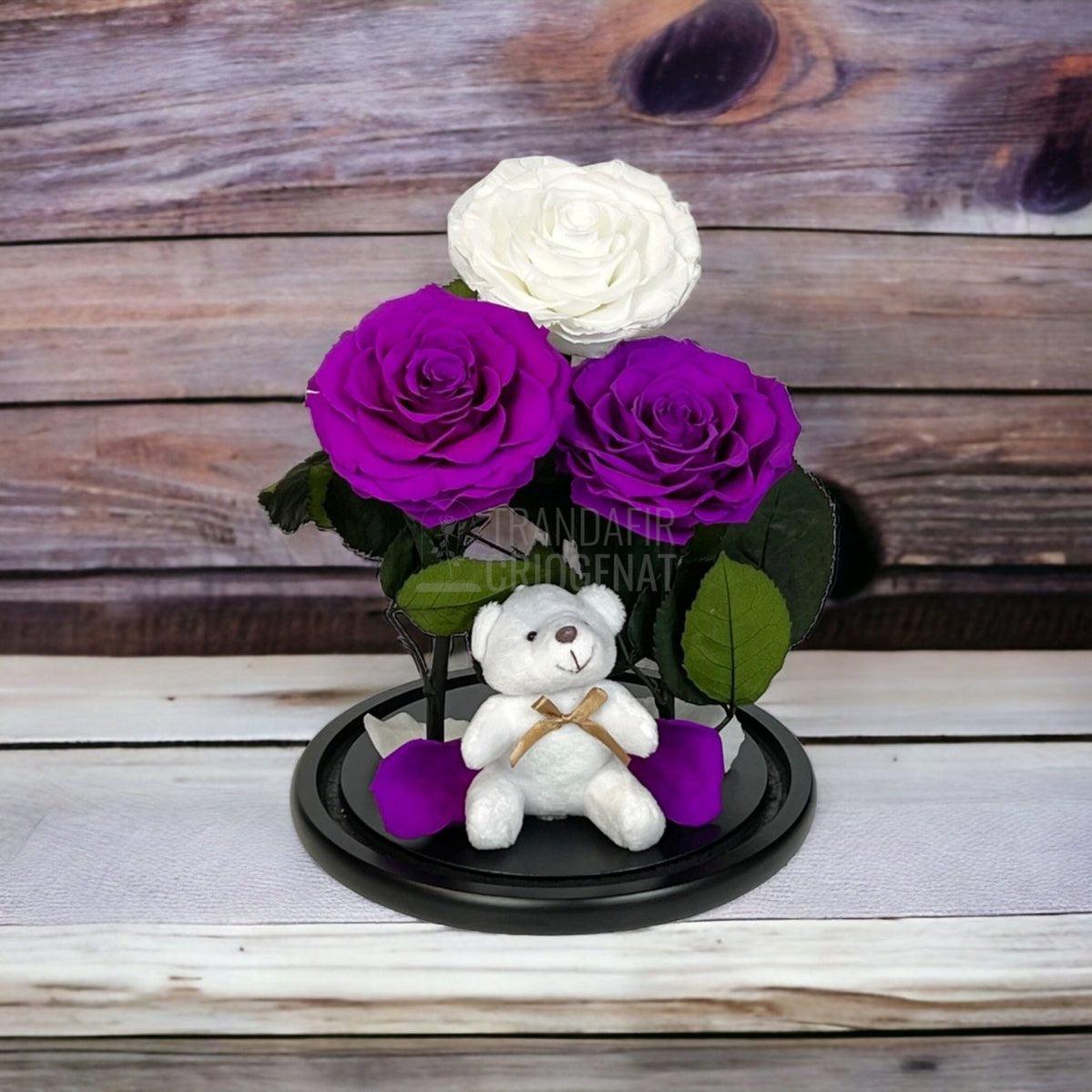 3 Trandafiri Criogenati mari, 2 purpuriu, 1 alb, cupola ursulet - Trandafir-Criogenat.ro