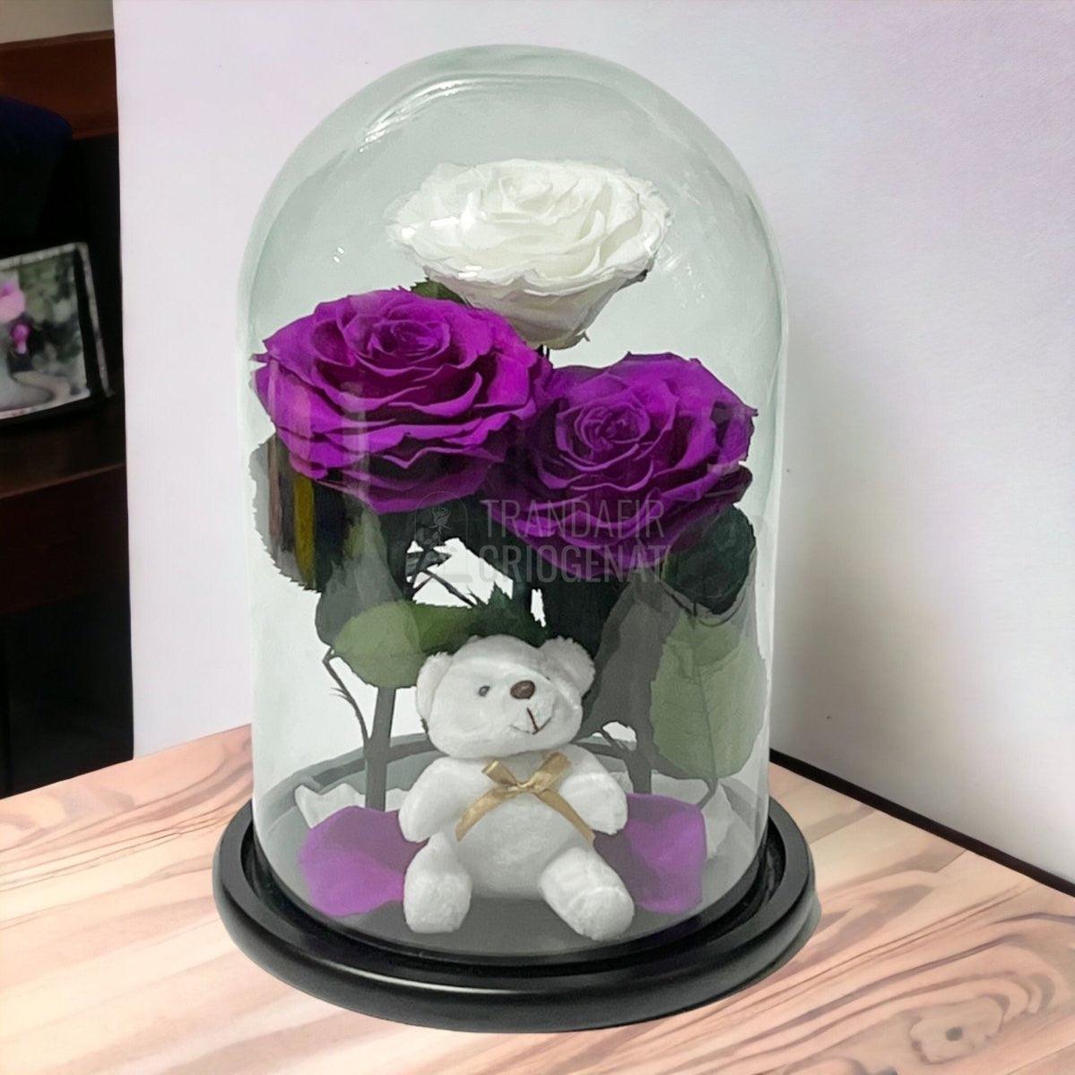 3 Trandafiri Criogenati mari, 2 purpuriu, 1 alb, cupola ursulet - Trandafir-Criogenat.ro