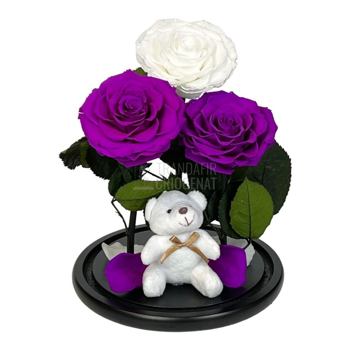 3 Trandafiri Criogenati mari, 2 purpuriu, 1 alb, cupola ursulet - Trandafir-Criogenat.ro