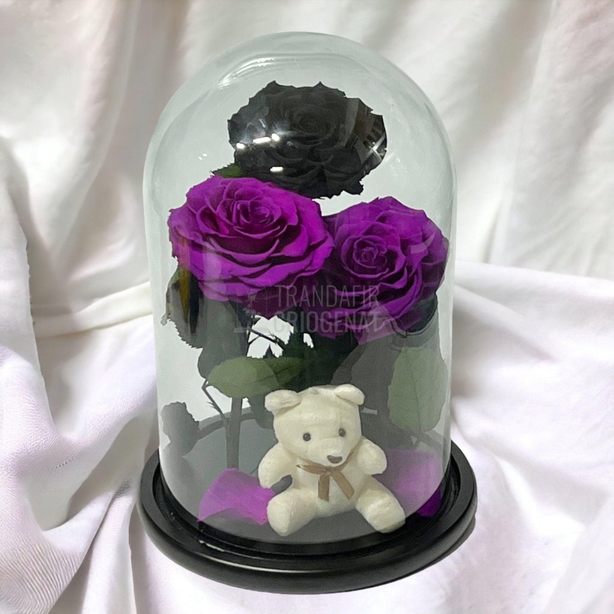 3 Trandafiri Criogenati mari, 2 purpuriu, 1 negru, cupola ursulet - Trandafir-Criogenat.ro