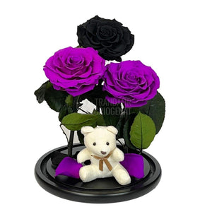 3 Trandafiri Criogenati mari, 2 purpuriu, 1 negru, cupola ursulet - Trandafir-Criogenat.ro