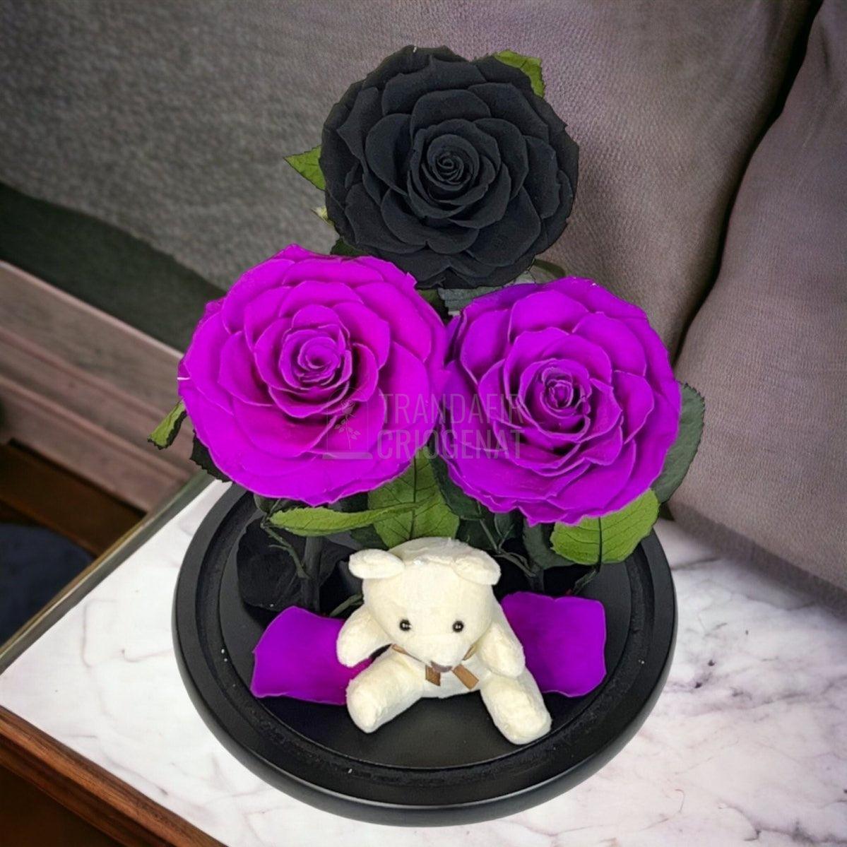 3 Trandafiri Criogenati mari, 2 purpuriu, 1 negru, cupola ursulet - Trandafir-Criogenat.ro