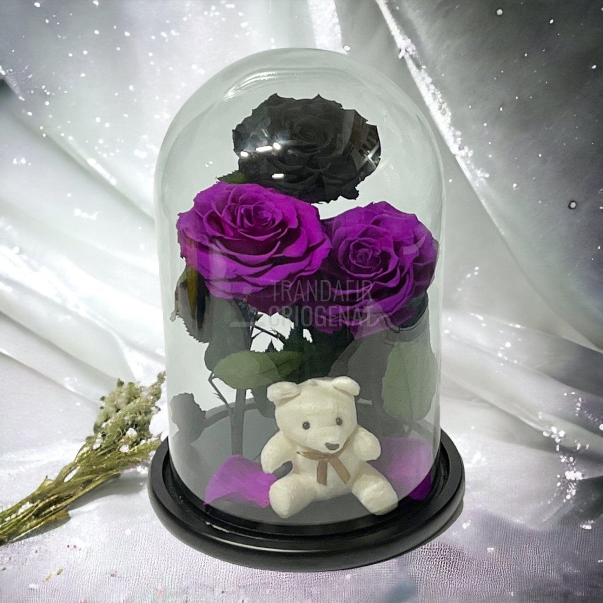 3 Trandafiri Criogenati mari, 2 purpuriu, 1 negru, cupola ursulet - Trandafir-Criogenat.ro