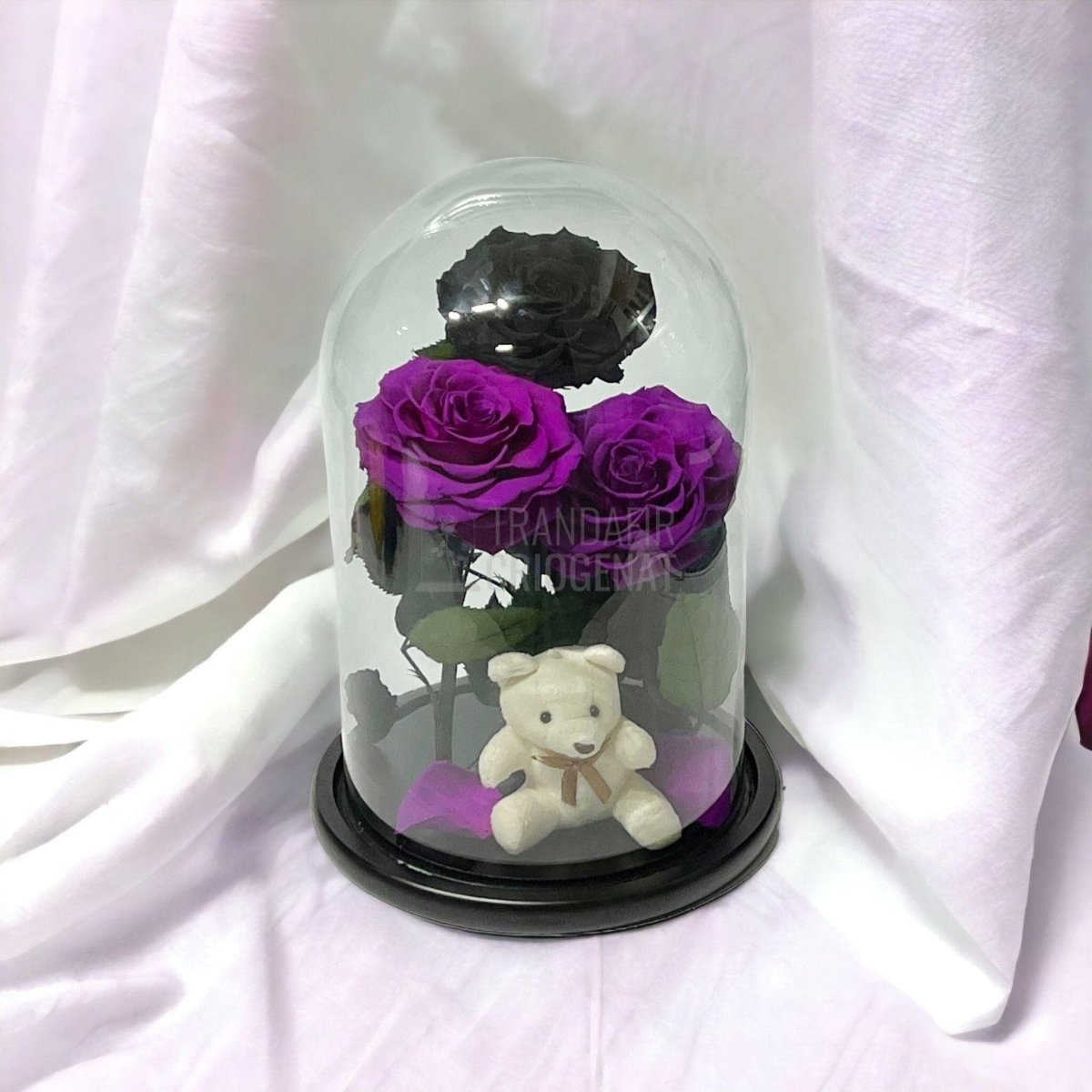 3 Trandafiri Criogenati mari, 2 purpuriu, 1 negru, cupola ursulet - Trandafir-Criogenat.ro