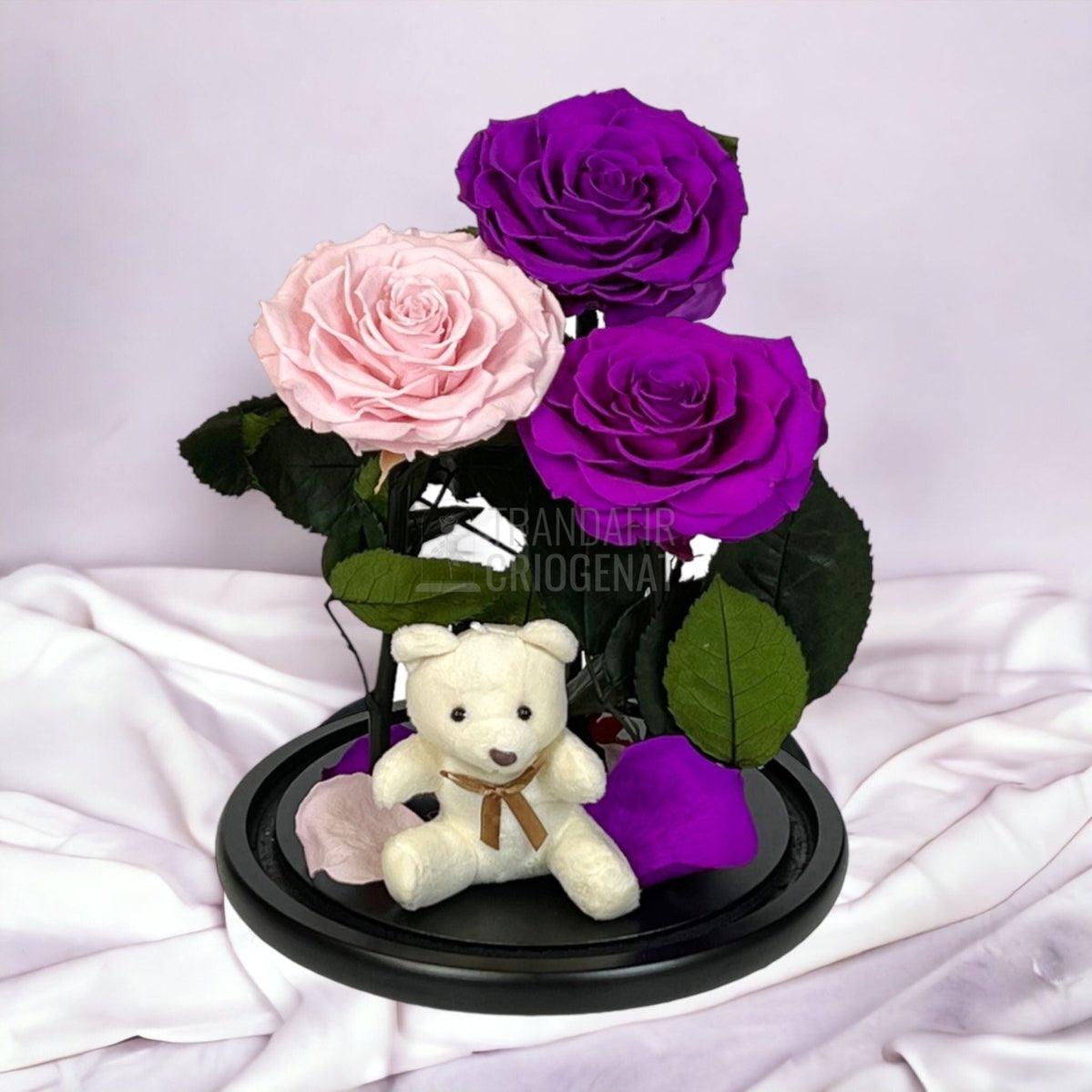 3 Trandafiri Criogenati mari, 2 purpuriu, 1 roz, cupola ursulet - Trandafir-Criogenat.ro