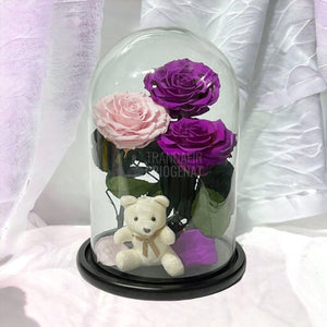 3 Trandafiri Criogenati mari, 2 purpuriu, 1 roz, cupola ursulet - Trandafir-Criogenat.ro