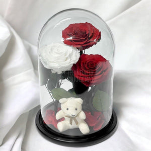 3 Trandafiri Criogenati mari, 2 rosii, 1 alb, cupola ursulet - Trandafir-Criogenat.ro