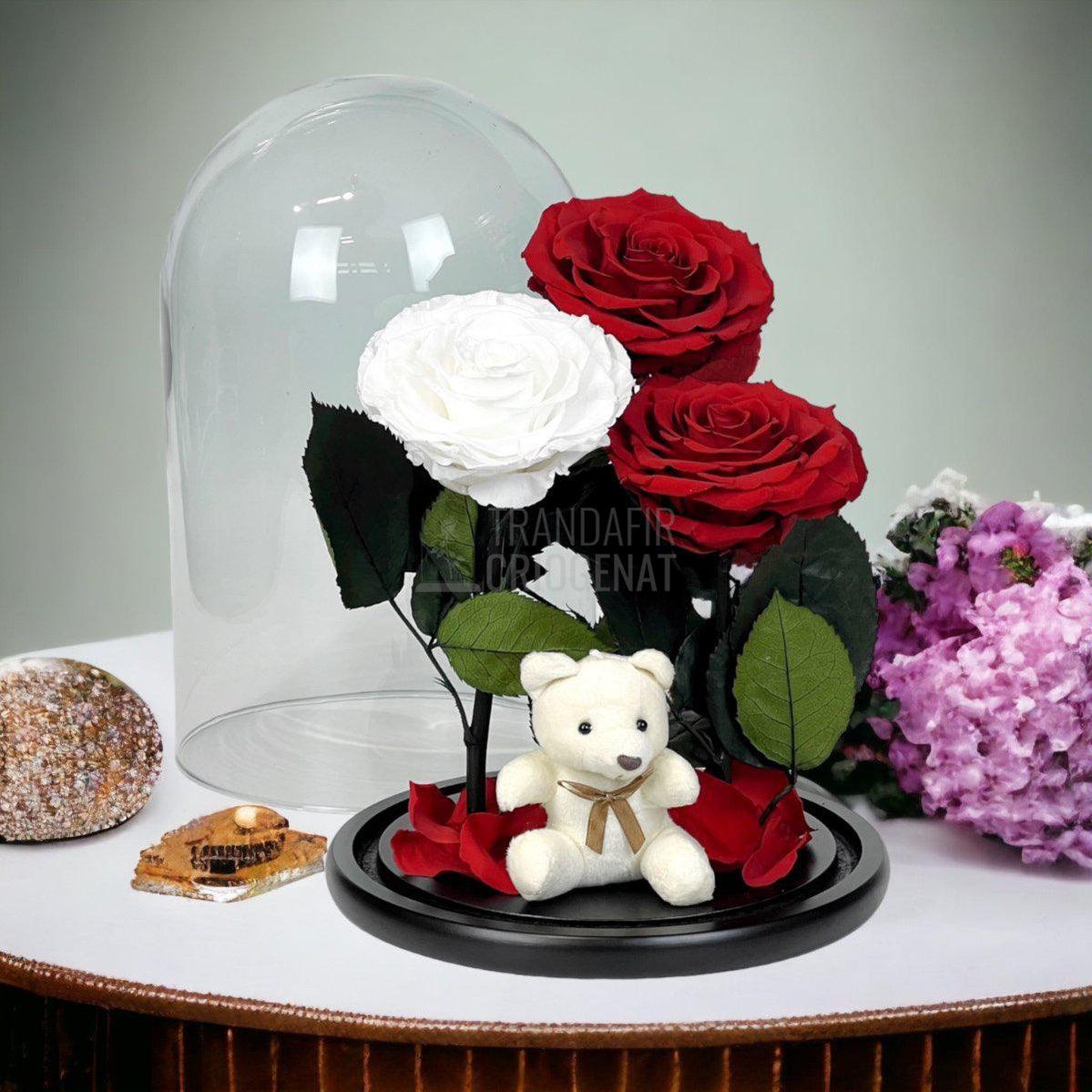 3 Trandafiri Criogenati mari, 2 rosii, 1 alb, cupola ursulet - Trandafir-Criogenat.ro