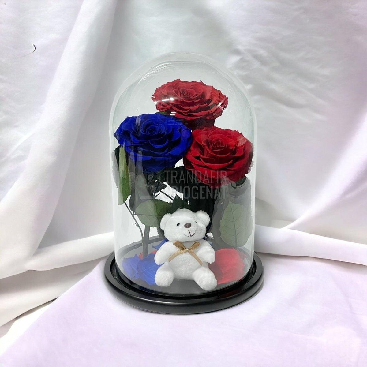 3 Trandafiri Criogenati mari, 2 rosii, 1 albastru, cupola ursulet - Trandafir-Criogenat.ro