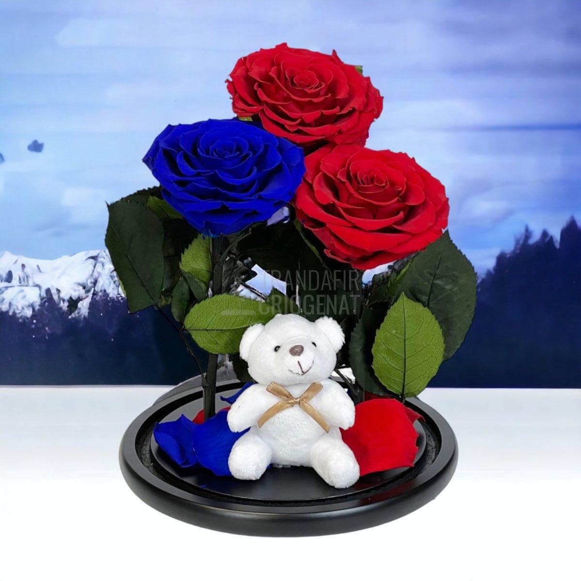 3 Trandafiri Criogenati mari, 2 rosii, 1 albastru, cupola ursulet - Trandafir-Criogenat.ro