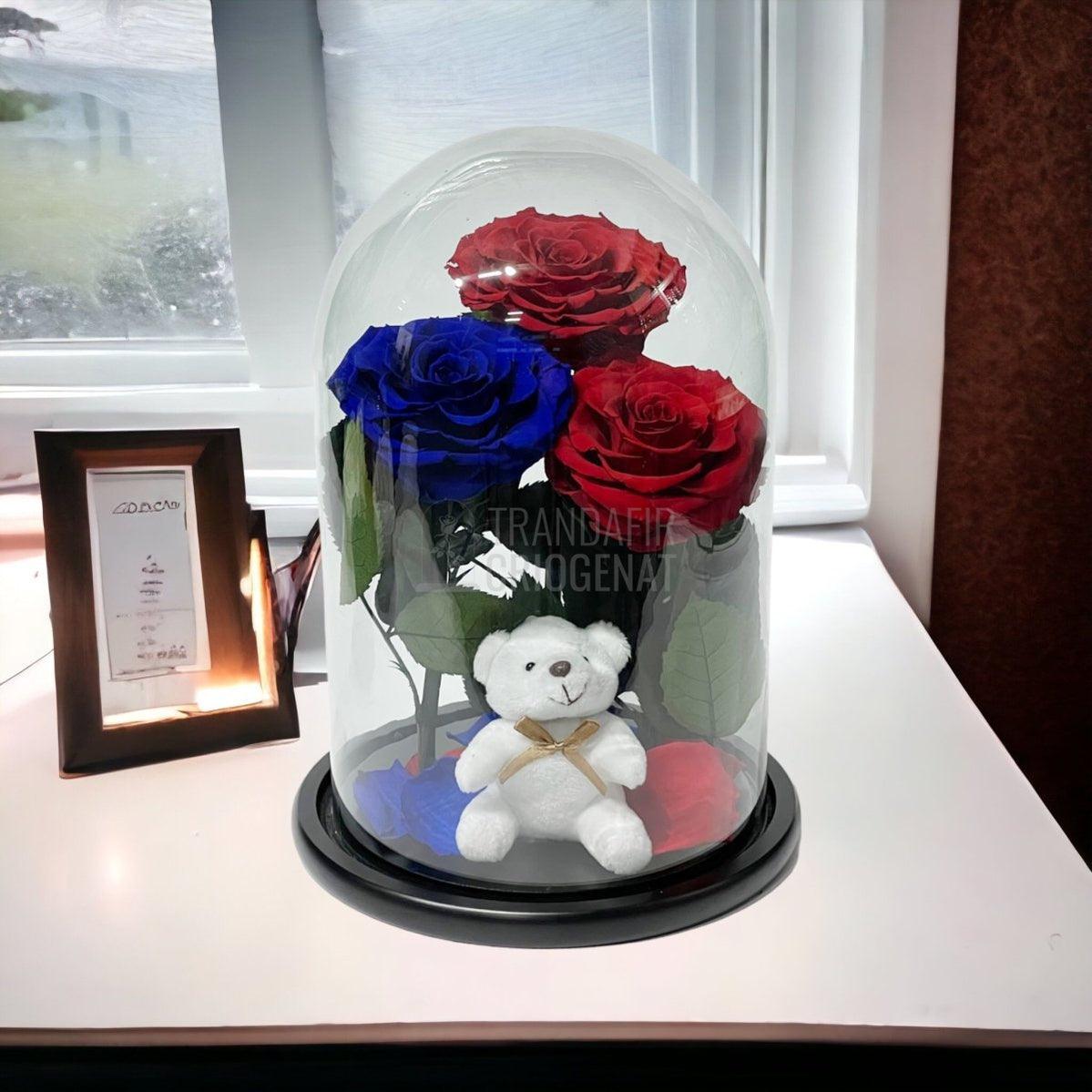 3 Trandafiri Criogenati mari, 2 rosii, 1 albastru, cupola ursulet - Trandafir-Criogenat.ro