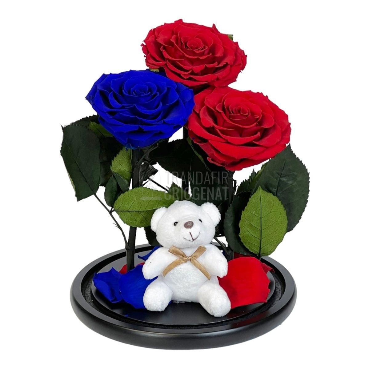 3 Trandafiri Criogenati mari, 2 rosii, 1 albastru, cupola ursulet - Trandafir-Criogenat.ro