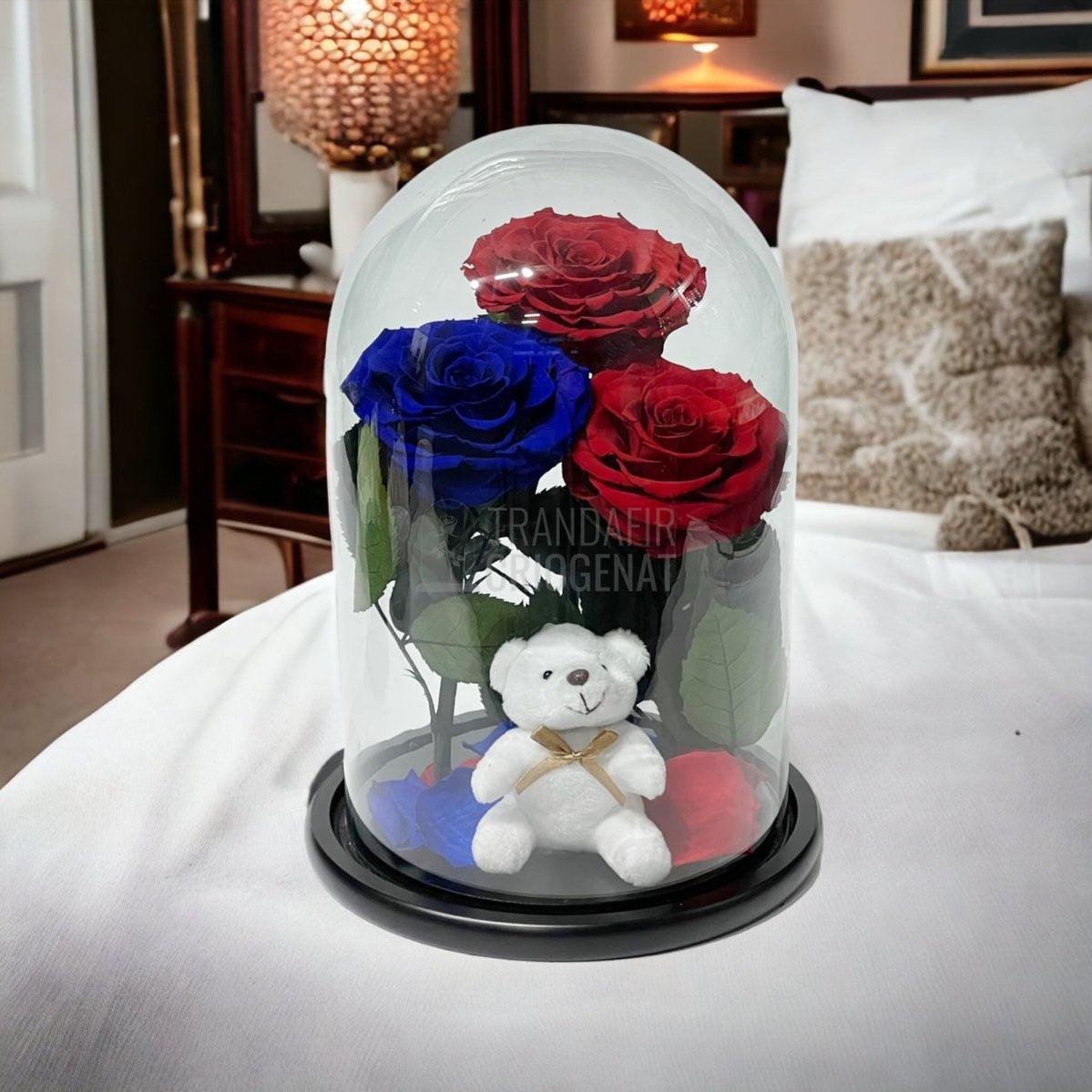 3 Trandafiri Criogenati mari, 2 rosii, 1 albastru, cupola ursulet - Trandafir-Criogenat.ro