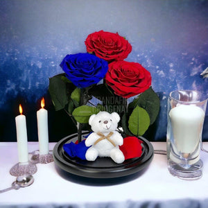 3 Trandafiri Criogenati mari, 2 rosii, 1 albastru, cupola ursulet - Trandafir-Criogenat.ro