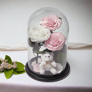 3 Trandafiri Criogenati mari, 2 roz, 1 alb, cupola cu ursulet - Trandafir-Criogenat.ro