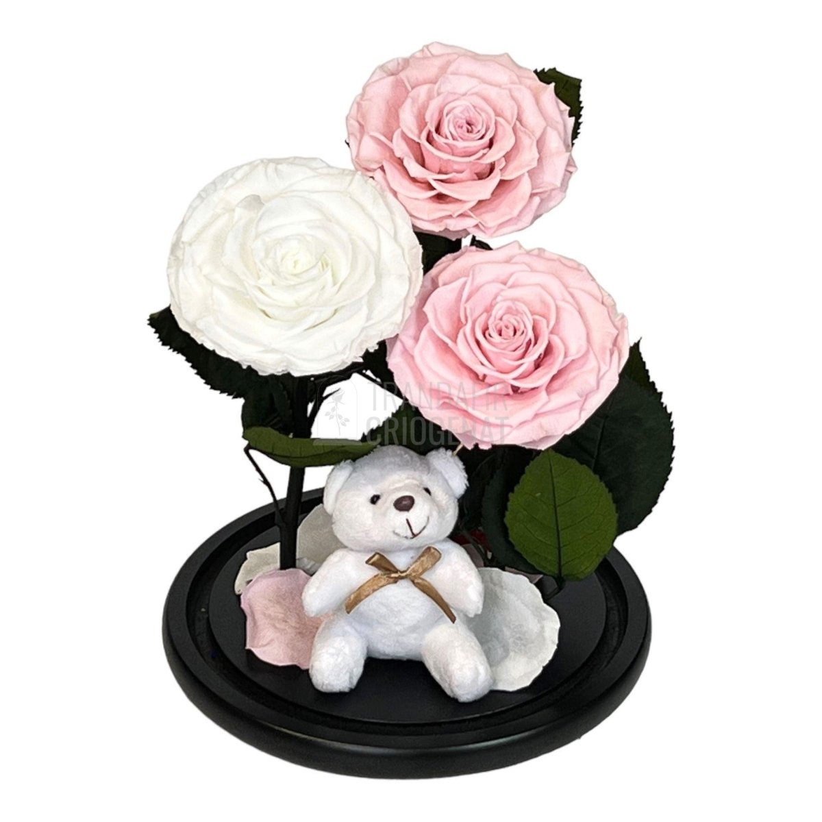 3 Trandafiri Criogenati mari, 2 roz, 1 alb, cupola cu ursulet - Trandafir-Criogenat.ro